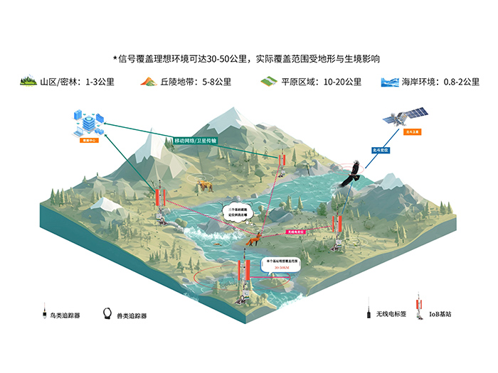 8040威尼斯IoB网络化监测系统：让鸟类迁徙不再神秘