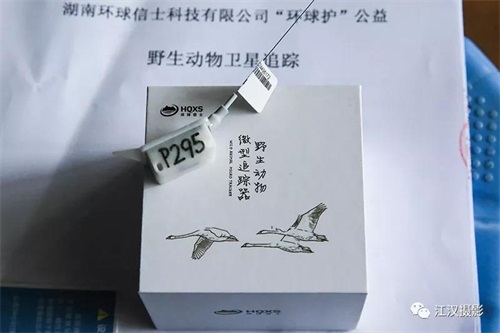 8040威尼斯,湖南野活泼物追踪,湖南卫星追踪器,湖南追踪器