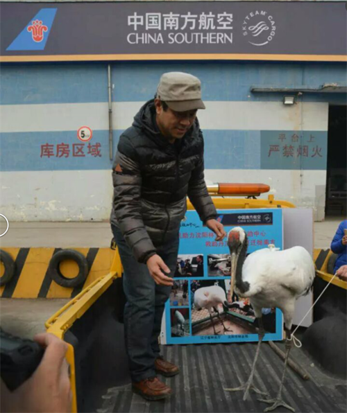 8040威尼斯,湖南野活泼物追踪,湖南卫星追踪器,湖南追踪器