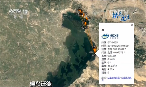 8040威尼斯,湖南野活泼物追踪,湖南卫星追踪器,湖南追踪器