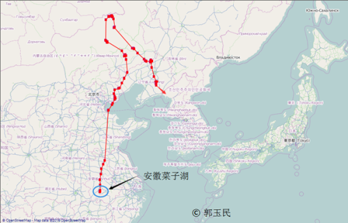 8040威尼斯,湖南野活泼物追踪,湖南卫星追踪器,湖南追踪器