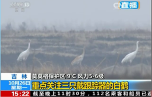 8040威尼斯,湖南野活泼物追踪,湖南卫星追踪器,湖南追踪器