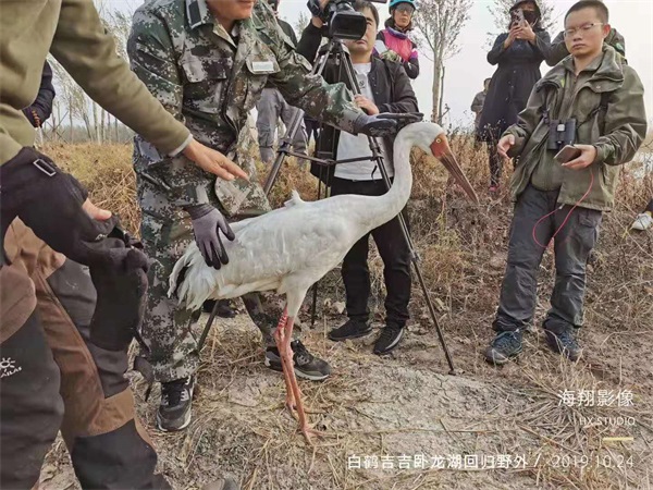 8040威尼斯,湖南野活泼物追踪,湖南卫星追踪器,湖南追踪器