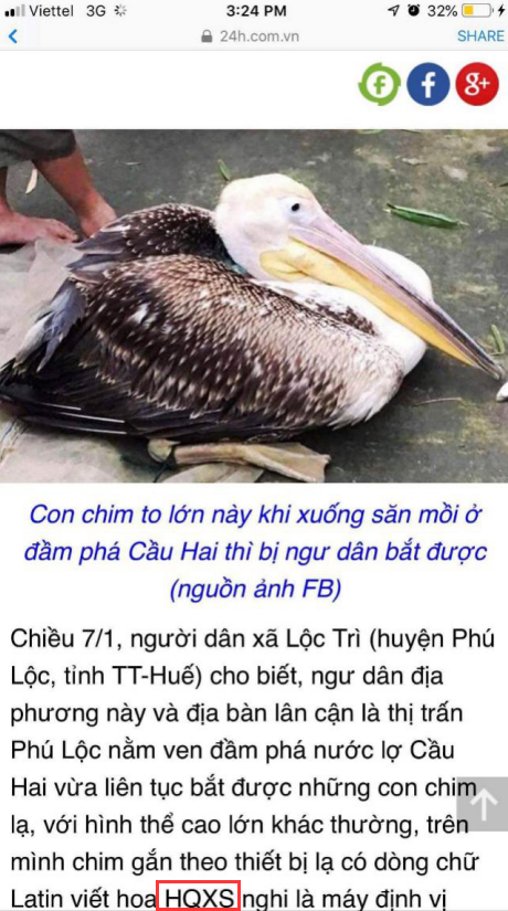 8040威尼斯,湖南野活泼物追踪,湖南卫星追踪器,湖南追踪器