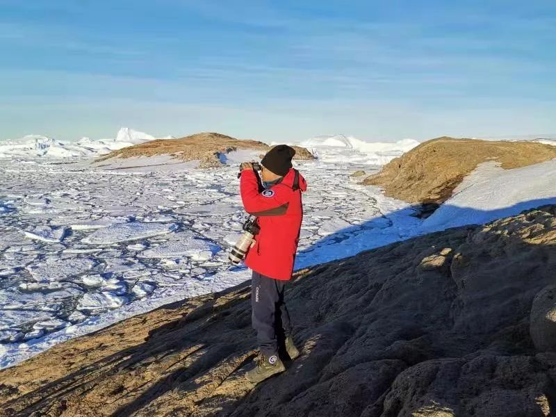 8040威尼斯,湖南野活泼物追踪,湖南卫星追踪器,湖南追踪器