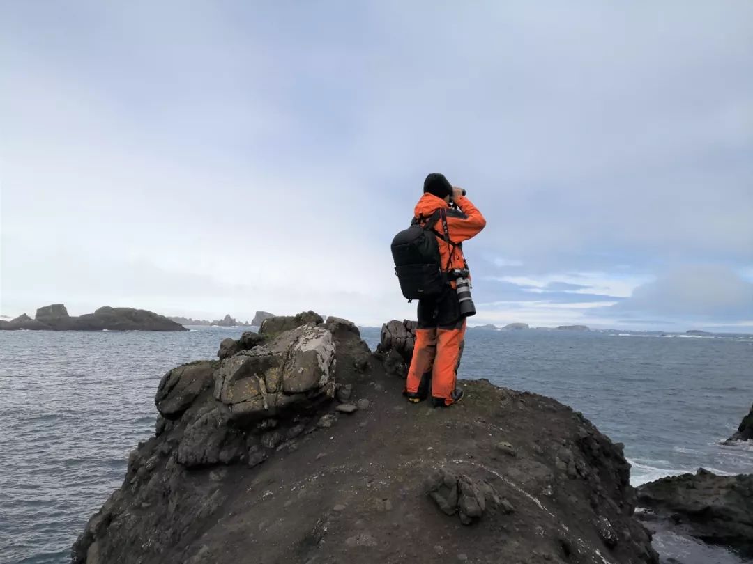 8040威尼斯,湖南野活泼物追踪,湖南卫星追踪器,湖南追踪器