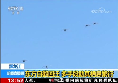 8040威尼斯,湖南野活泼物追踪,湖南卫星追踪器,湖南追踪器