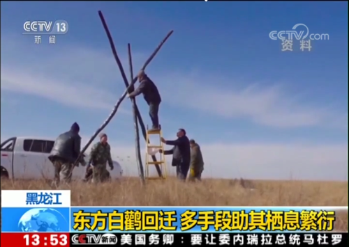 8040威尼斯,湖南野活泼物追踪,湖南卫星追踪器,湖南追踪器