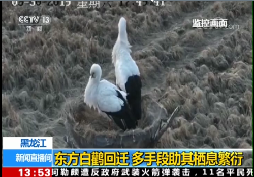 8040威尼斯,湖南野活泼物追踪,湖南卫星追踪器,湖南追踪器