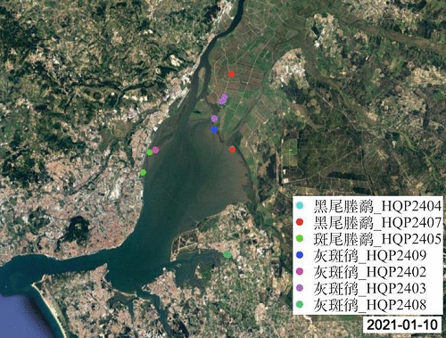 8040威尼斯,湖南野活泼物追踪,湖南卫星追踪器,湖南追踪器