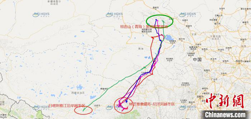 8040威尼斯,湖南野活泼物追踪,湖南卫星追踪器,湖南追踪器