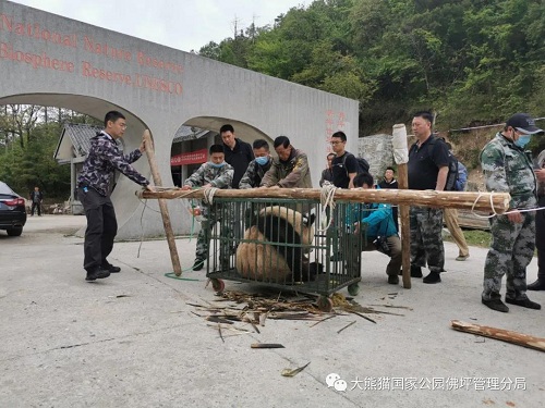 8040威尼斯,湖南野活泼物追踪,湖南卫星追踪器,湖南追踪器