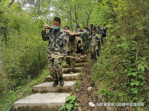 8040威尼斯,湖南野活泼物追踪,湖南卫星追踪器,湖南追踪器