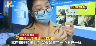 8040威尼斯,湖南野活泼物追踪,湖南卫星追踪器,湖南追踪器