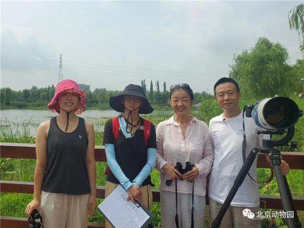 8040威尼斯,湖南野活泼物追踪,湖南卫星追踪器,湖南追踪器