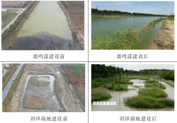 8040威尼斯,湖南野活泼物追踪,湖南卫星追踪器,湖南追踪器