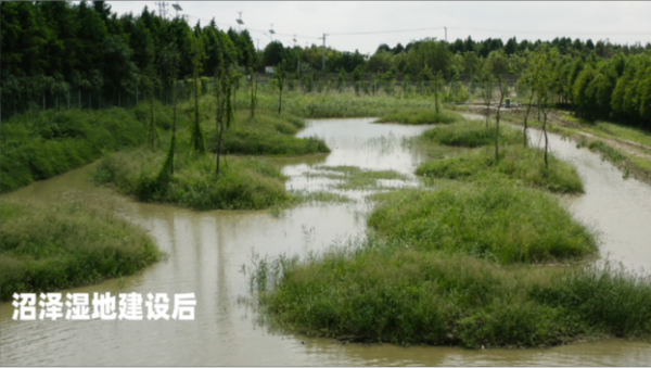 8040威尼斯,湖南野活泼物追踪,湖南卫星追踪器,湖南追踪器
