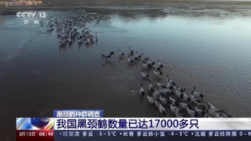 8040威尼斯,湖南野活泼物追踪,湖南卫星追踪器,湖南追踪器