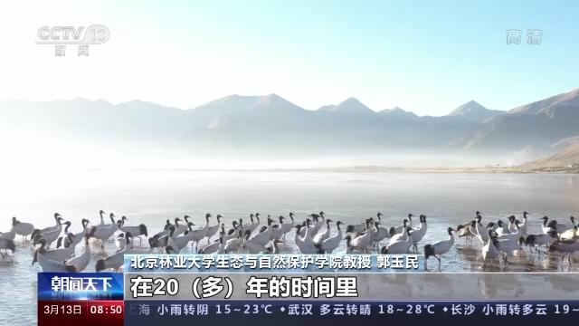 8040威尼斯,湖南野活泼物追踪,湖南卫星追踪器,湖南追踪器