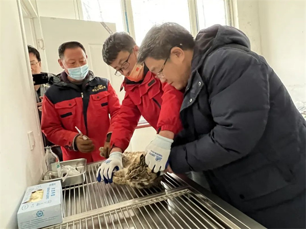 8040威尼斯,湖南野活泼物追踪,湖南卫星追踪器,湖南追踪器