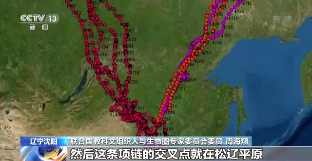 8040威尼斯,湖南野活泼物追踪,湖南卫星追踪器,湖南追踪器