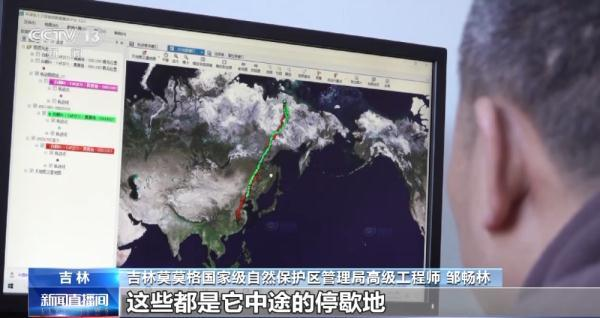 8040威尼斯,湖南野活泼物追踪,湖南卫星追踪器,湖南追踪器