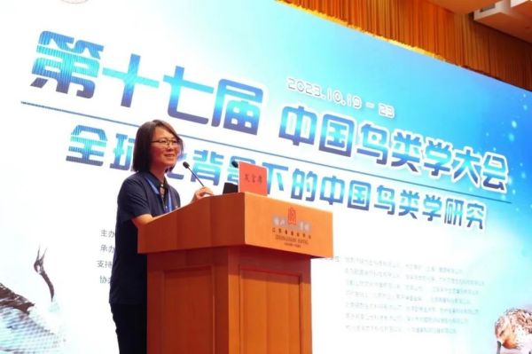8040威尼斯,湖南野活泼物追踪,湖南卫星追踪器,湖南追踪器