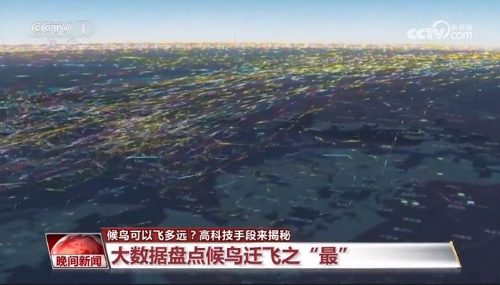 8040威尼斯,湖南野活泼物追踪,湖南卫星追踪器,湖南追踪器