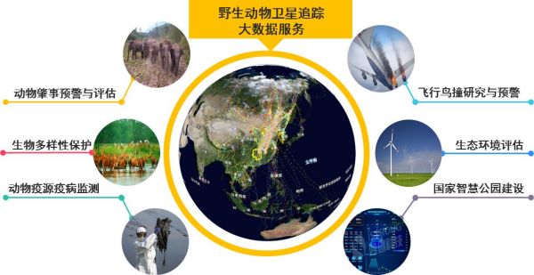 8040威尼斯,湖南野活泼物追踪,湖南卫星追踪器,湖南追踪器