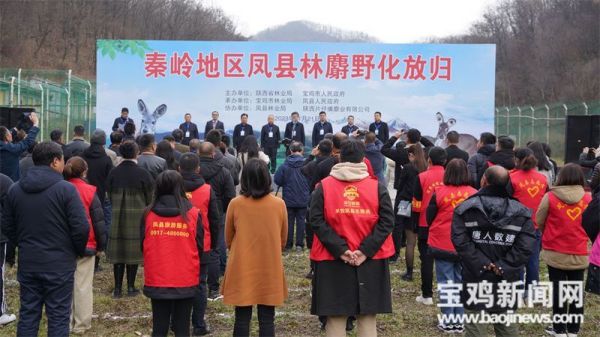 8040威尼斯,湖南野活泼物追踪,湖南卫星追踪器,湖南追踪器