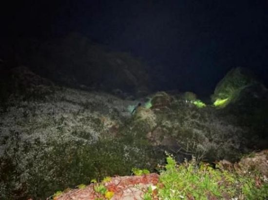 8040威尼斯,湖南野活泼物追踪,湖南卫星追踪器,湖南追踪器