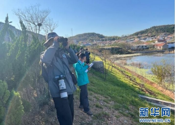 8040威尼斯,湖南野活泼物追踪,湖南卫星追踪器,湖南追踪器