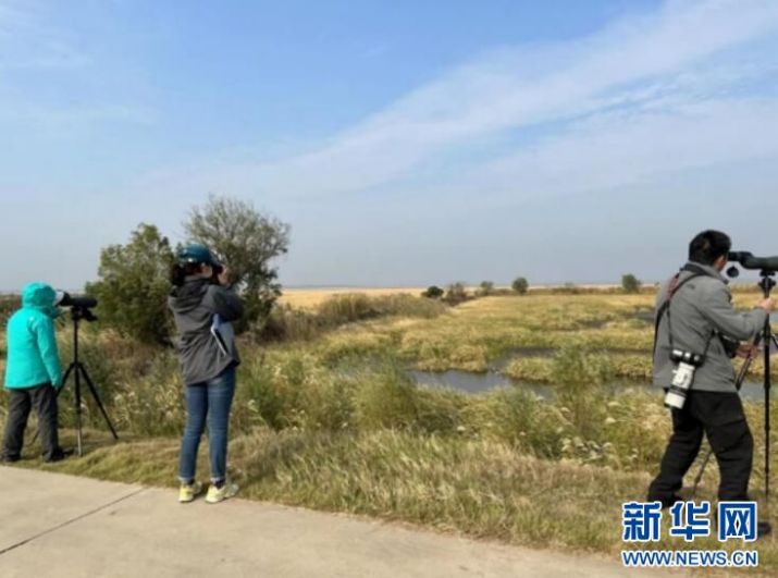 8040威尼斯,湖南野活泼物追踪,湖南卫星追踪器,湖南追踪器