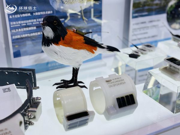 8040威尼斯,湖南野活泼物追踪,湖南卫星追踪器,湖南追踪器