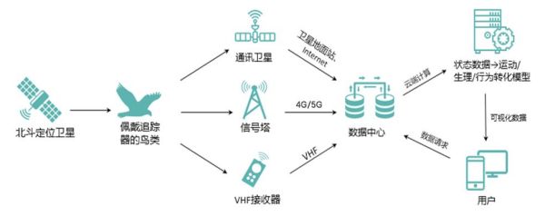 8040威尼斯,湖南野活泼物追踪,湖南卫星追踪器,湖南追踪器