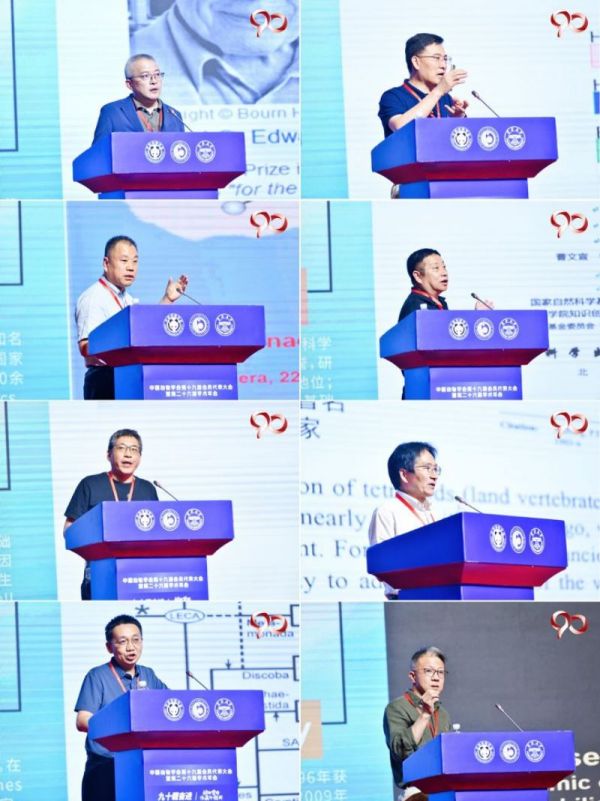 8040威尼斯,湖南野活泼物追踪,湖南卫星追踪器,湖南追踪器