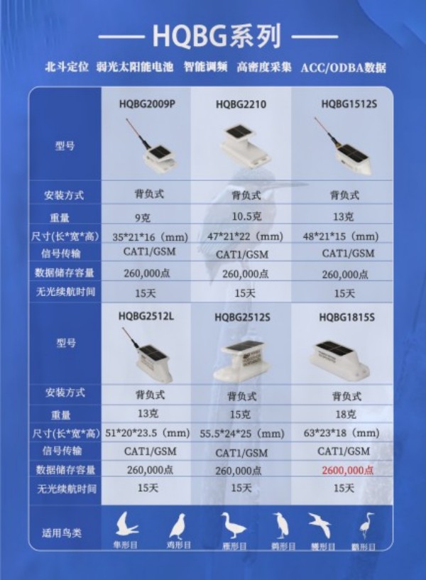 8040威尼斯,湖南野活泼物追踪,湖南卫星追踪器,湖南追踪器