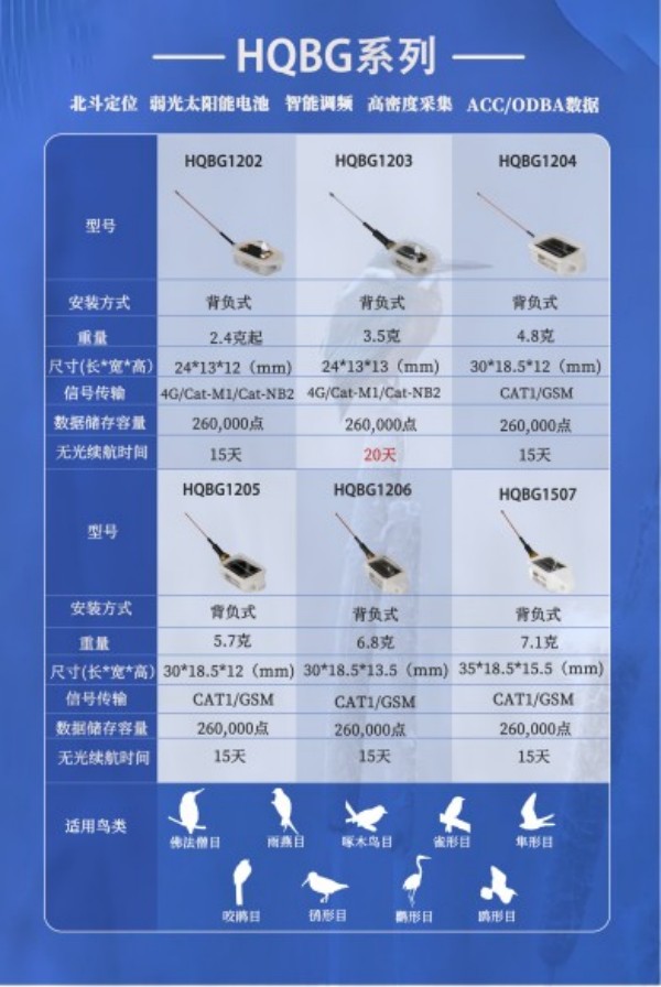 8040威尼斯,湖南野活泼物追踪,湖南卫星追踪器,湖南追踪器